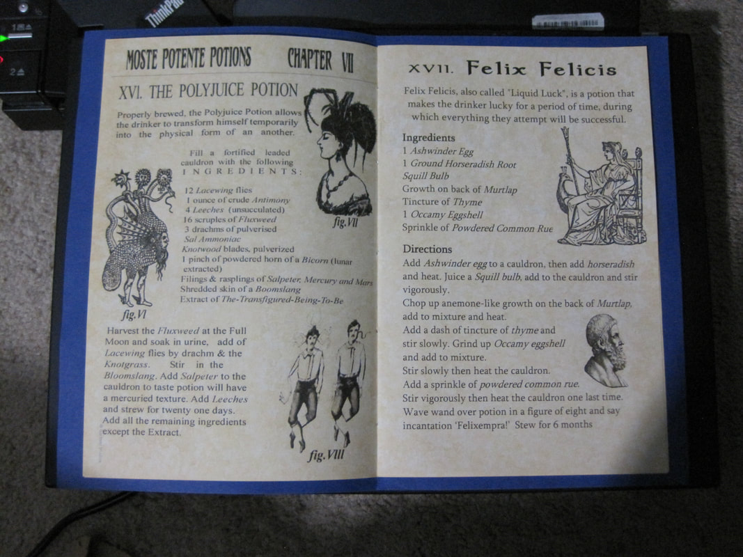 advanced potion making book pages